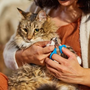 JW Pet Gripsoft Cat Nail Clipper