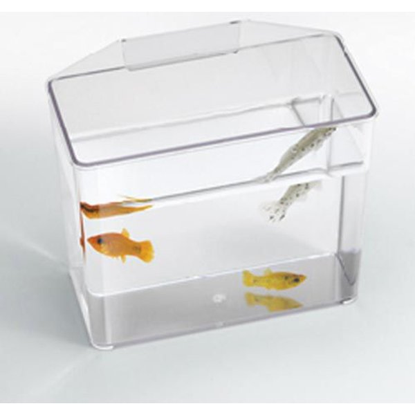 EHEIM Everyday Fish Feeder Food Dispenser - Chewy.com