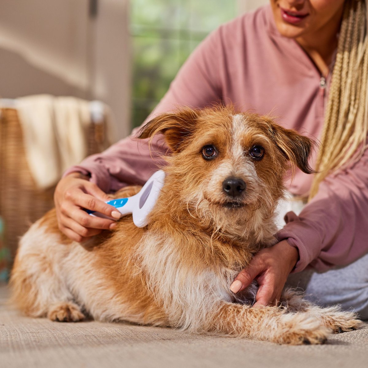 JW PET Gripsoft Undercoat Rake, Regular Teeth