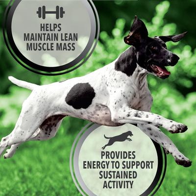 Show full view: Iams Proactive Health Active Chicken & Turkey Recipe High Protein Adult Dry Dog Food, 36-lb bag slide 4 of 11