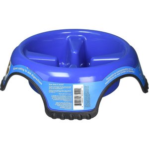 OUTWARD HOUND Non-Skid Plastic Slow Feeder Interactive Dog Bowl, Teal ...