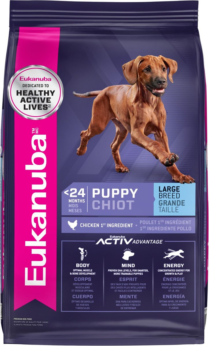 Eukanuba pitbull shop dog food