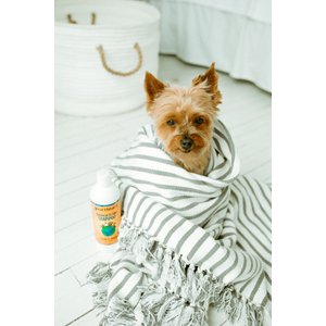 Earthbath Oatmeal & Aloe Dog & Cat Shampoo, 16-oz bottle