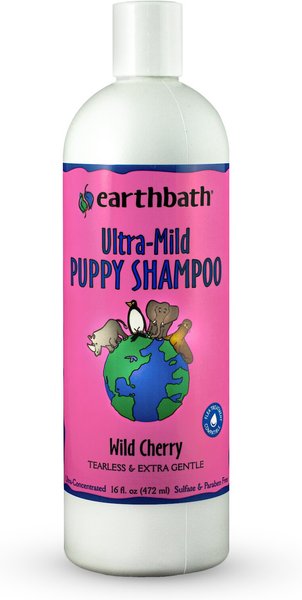 højde Dinkarville fabrik EARTHBATH Ultra-Mild Wild Cherry Puppy Shampoo, 16-oz bottle - Chewy.com