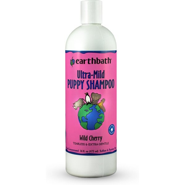 EARTHBATH UltraMild Wild Cherry Puppy Shampoo, 16fl oz bottle