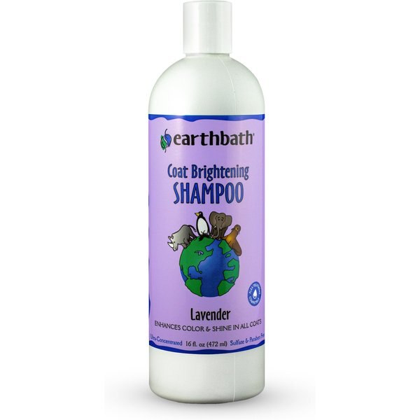 EARTHBATH Light Color Coat Brightening Lavender Dog & Cat Shampoo, 16