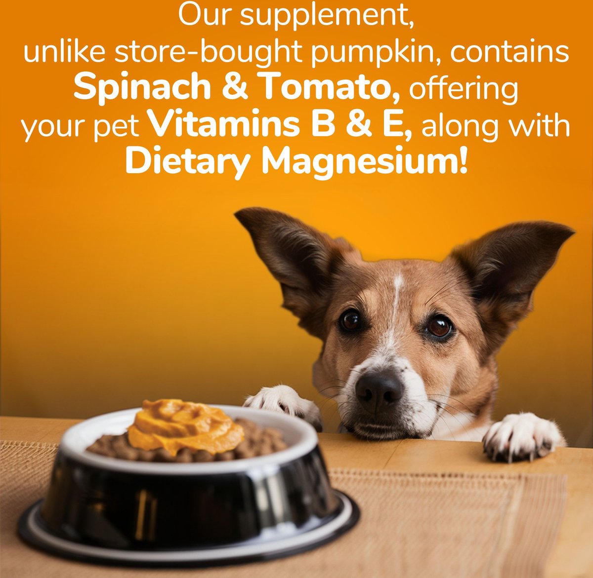 FRUITABLES Pumpkin SuperBlend Digestive Dog & Cat Supplement, 15oz