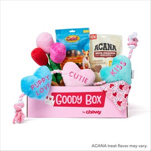 Goody Box Valentine's Dog Toys & Treats, Medium/Large