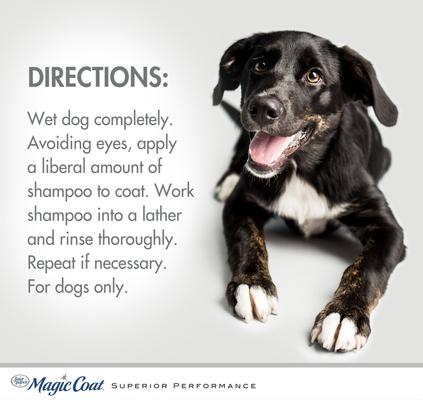 Show full view: Four Paws Magic Coat Medicated for Skin Allergies Dog Shampoo, 16-fl oz bottle slide 5 of 11