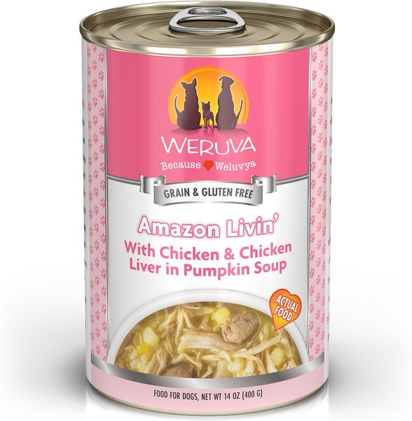 Weruva Amazon Livin' with Chicken & Chicken Liver in Pumpkin Soup Grain-Free Canned Dog Food, 14-oz, case of 12 slide 1 of 10