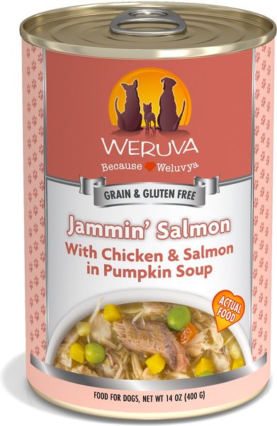 Weruva Jammin' Salmon with Chicken & Salmon in Pumpkin Soup Grain-Free Canned Dog Food, 14-oz, case of 12 slide 1 of 10