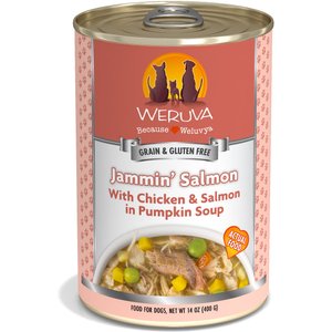 Weruva Jammin' Salmon with Chicken & Salmon in Pumpkin Soup Grain-Free Canned Dog Food, 14-oz, case of 12