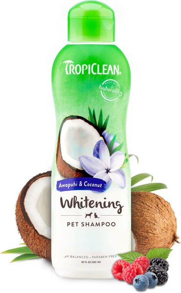 TropiClean Whitening Awapuhi & Coconut Shampoo, 20-oz bottle slide 1 of 9
