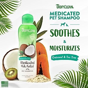 TropiClean Medicated Oatmeal & Tea Tree Dog Shampoo, 20-oz bottle