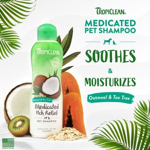 TropiClean Medicated Itchy Skin Relief Oatmeal & Tea Tree Dog Shampoo, 20-fl oz bottle