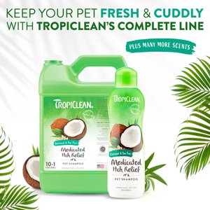 TropiClean Medicated Itchy Skin Relief Oatmeal & Tea Tree Dog Shampoo, 20-fl oz bottle