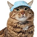 Frisco Blue Ocean Waves 30 + UPF Dog & Cat Beach Cap, X-Small/Small