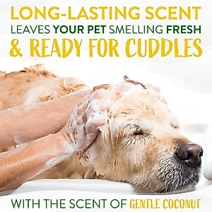 TropiClean Hypo-Allergenic Gentle Coconut Puppy & Kitten Shampoo, 20-oz bottle