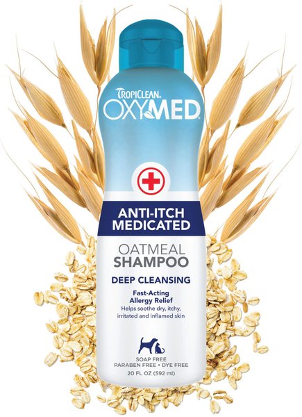 TropiClean OxyMed Medicated Anti-Itch Oatmeal Dog & Cat Shampoo, 20-oz bottle slide 1 of 11