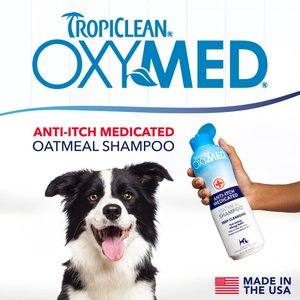 TropiClean OxyMed Medicated Anti-Itch Oatmeal Dog & Cat Shampoo, 20-oz bottle