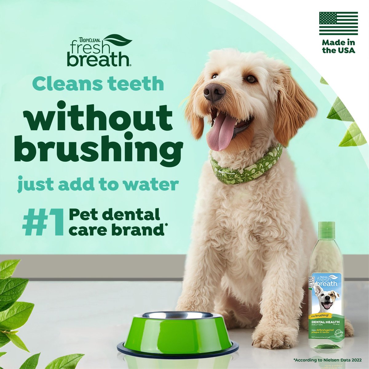 TROPICLEAN Fresh Breath Dental Health Solution Dog Dental Water Additive, 16-oz bottle - Chewy.com