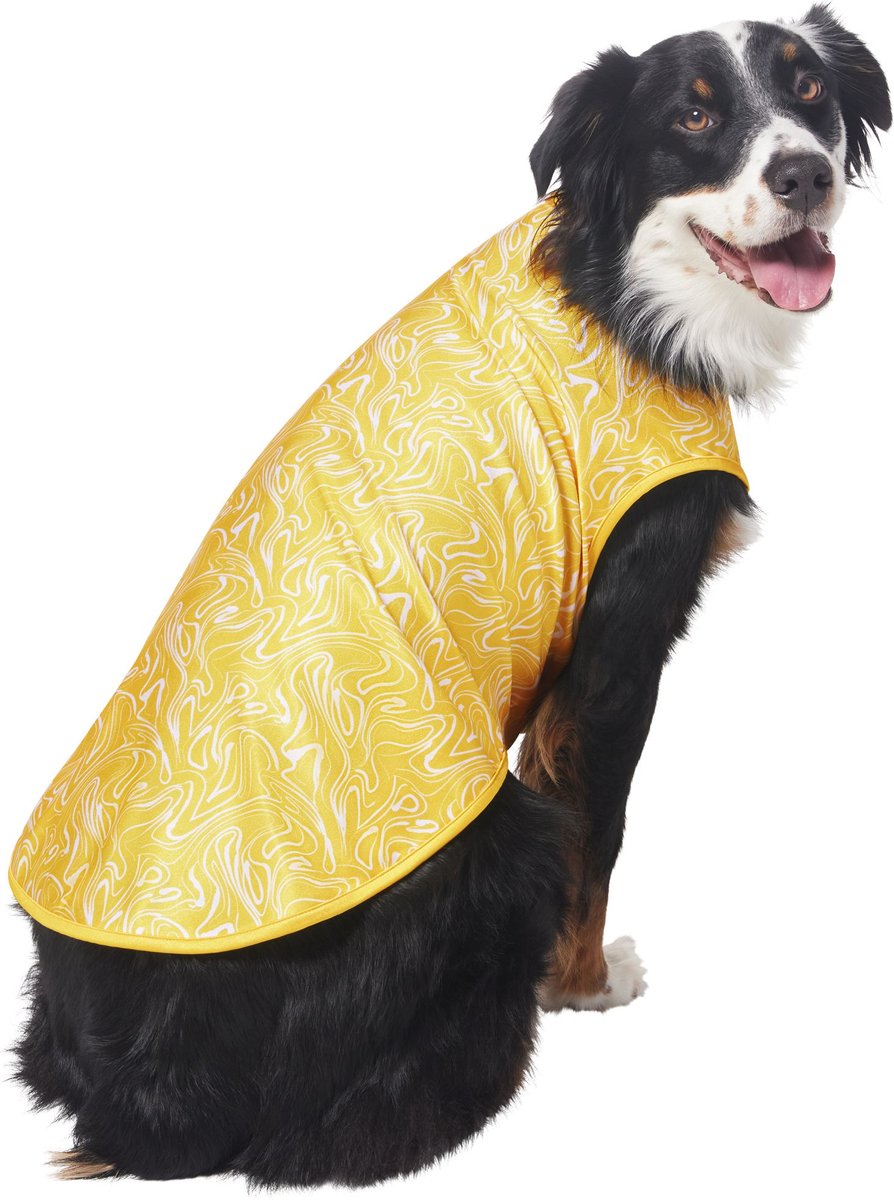 Dog 2024 rash guard