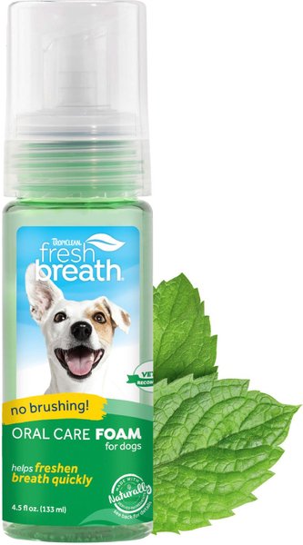 TropiClean Fresh Breath Oral Care Dog Dental Foam, 4.5-oz bottle slide 1 of 9