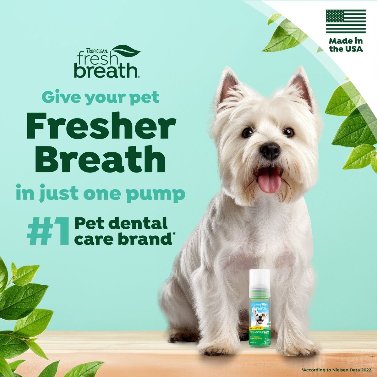 Fresh breath foam for 2024 dogs