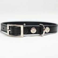 Shaya Pets Taylor Leather Collar, Black, X-Small slide 2 of 6