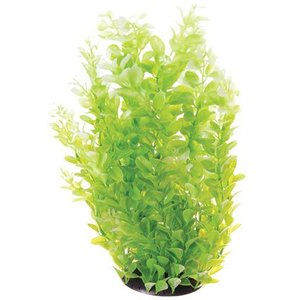 Underwater Treasures Cardamine Fish Plant, White, 16-in