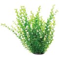 Underwater Treasures Green Moneywort Fish Ornament