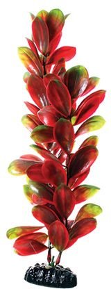 Underwater Treasures Bacopa Fish Plant, 12-in, Red/Green slide 1 of 1