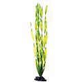 Underwater Treasures Green Jungle Vallisneria Fish Plant, 20-in