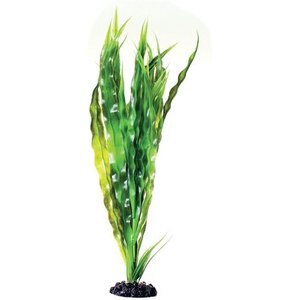 Underwater Treasures Cryptocoryne Balansae Fish Plant, 16-in