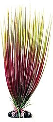 Underwater Treasures Hairgrass Fish Plant, 12-in, Red/Green