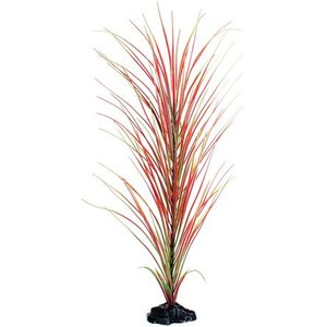 Underwater Treasures Hairgrass Fish Plant, 20-in, Red/Green
