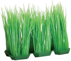 Underwater Treasures Foregrounder Green Hairgrass Fish Ornament