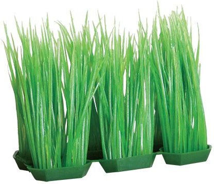 Underwater Treasures Foregrounder Green Hairgrass Fish Ornament slide 1 of 1