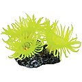 Underwater Treasures Mini Sun Polyp Fish Ornament