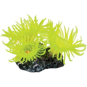 Underwater Treasures Mini Sun Polyp Fish Ornament