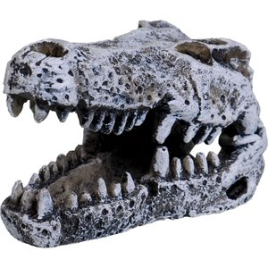 Underwater Treasures Crocodile Skull Fish Ornament, Small