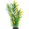 Underwater Treasures Morning Sun Fern Fish Plant