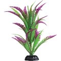 Underwater Treasures Heart Fern Fish Plant, 8-in