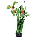 Underwater Treasures Pom Pom Lily Fish Plant, 12-in