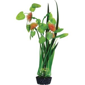 Underwater Treasures Pom Pom Lily Fish Plant, 12-in
