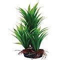 Underwater Treasures Emerald Fern Fish Plant, 8-in