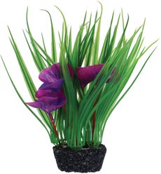 Underwater Treasures Luna Lily Fish Plant, Purple