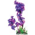 Underwater Treasures Lavender Lily Fish Plant, 14-in