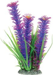 Underwater Treasures Ambulia Fish Plant
