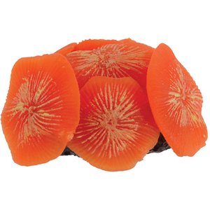 Underwater Treasures Mini Sun Polyp Fish Ornament